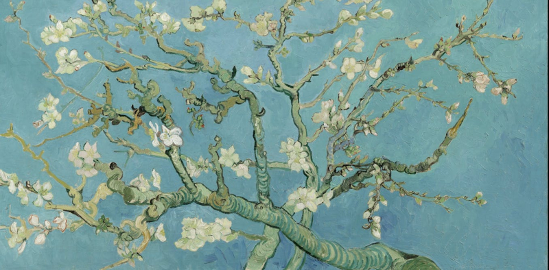 Tree branches in art throughout history follow geometric rules related to fractal geometry. ‘Almond blossom’ by Vincent van Gogh. Van Gogh Museum, Amsterdam.